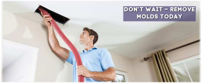 Air Duct Mold Removal in Mesa