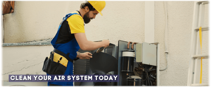HVAC Mold Removal Mesa